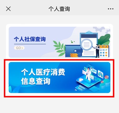 如何高效查詢個(gè)人醫(yī)療消費(fèi)信息 信息咨詢服務(wù)的全面指南